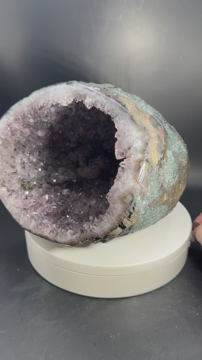 7 lb Golden Rutile Amethyst Geode from Brazil