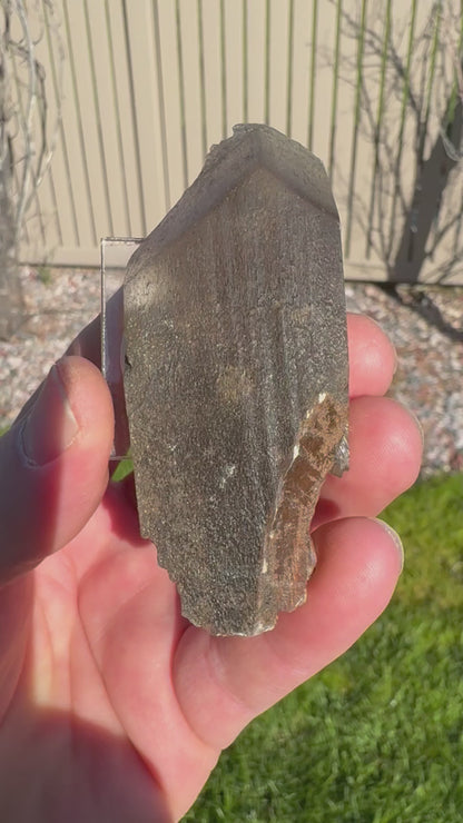 Phantom Selenite from La Platosa mine in Bermejillo Durango Mex 56 Grams