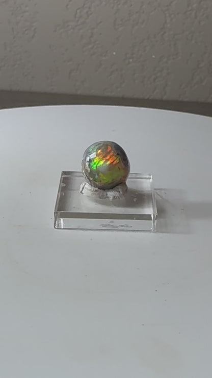 Mexican Fire Opal Cab
