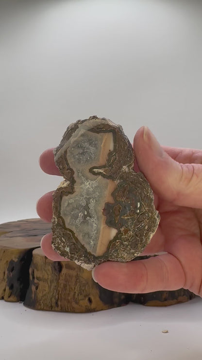 New Mexico Agate