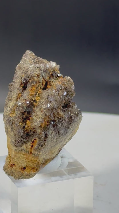 Alabama Brilliant Petrified Wood with Smokey Quartz 27 Grams on Base