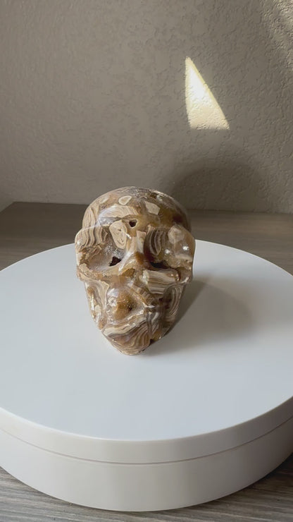 Natural Amber Agate Druzy Skull 1 pound!