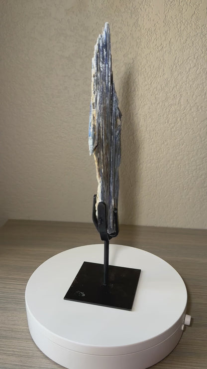 Tall Blue Kyanite Crystal on Custom Stand from Brazil