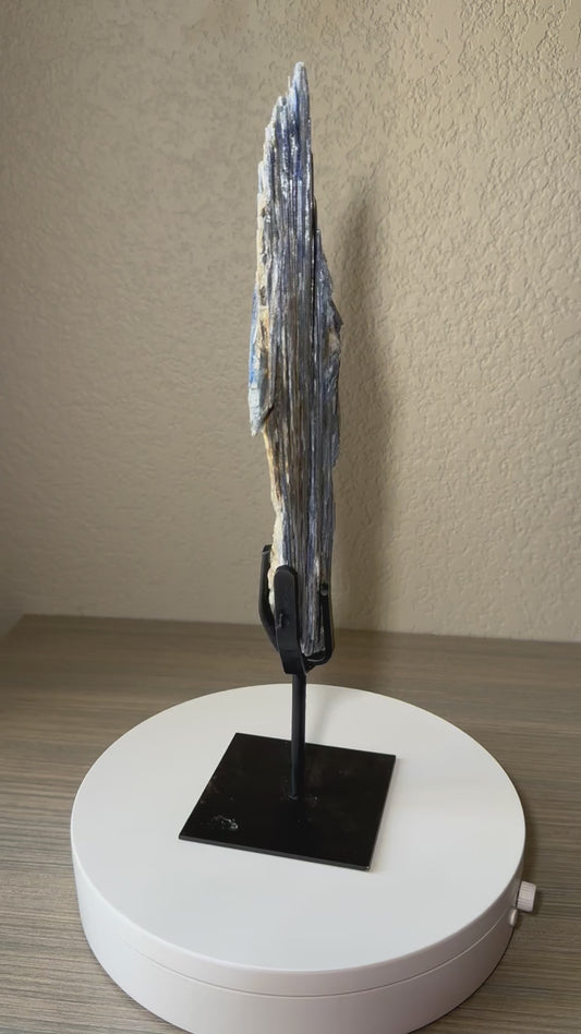 Tall Blue Kyanite Crystal on Custom Stand from Brazil